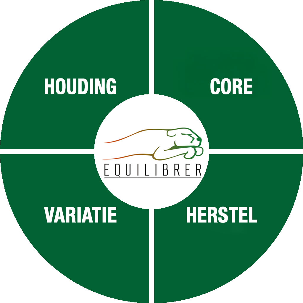 sjabloon-lichaam-Core
