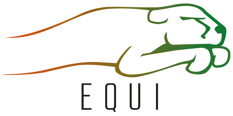 Equilibrer logo